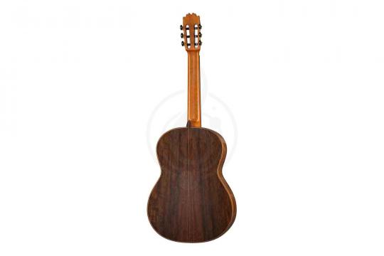 Классическая гитара 4/4 Martinez MM10-Martinez - Классическая гитара - фото 5