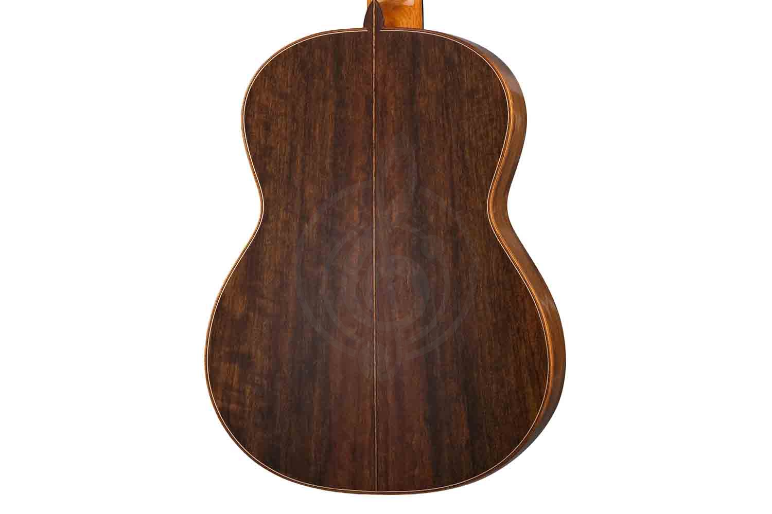 Классическая гитара 4/4 Martinez MM10-Martinez - Классическая гитара - фото 3