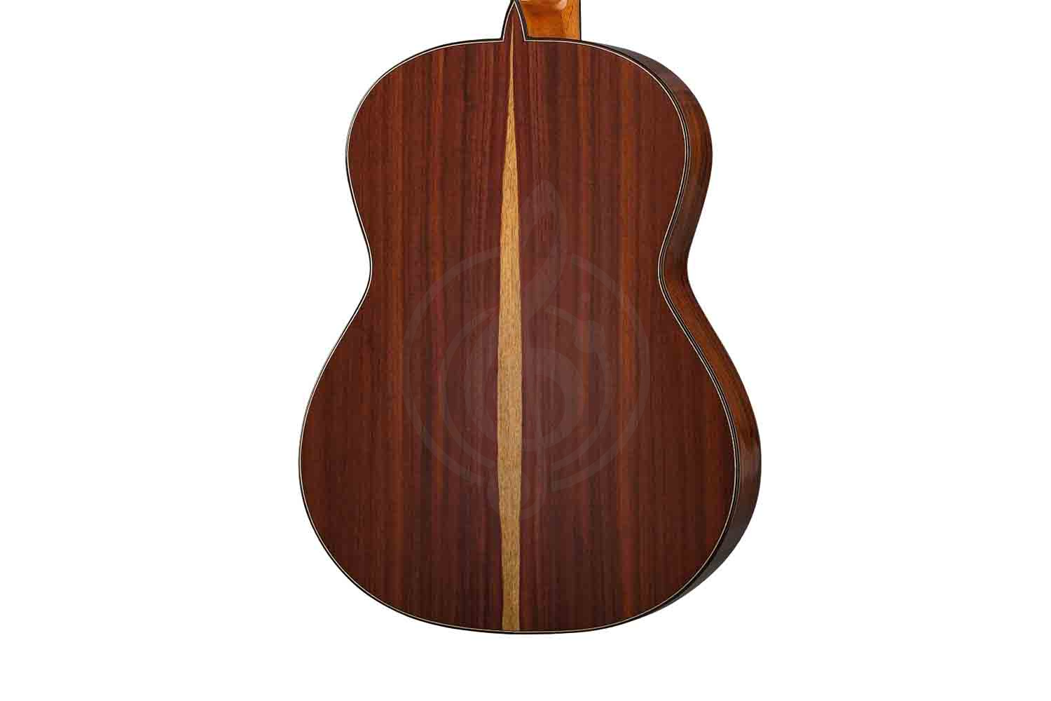 Классическая гитара 4/4 Martinez MM16-Martinez - Классическая гитара - фото 3