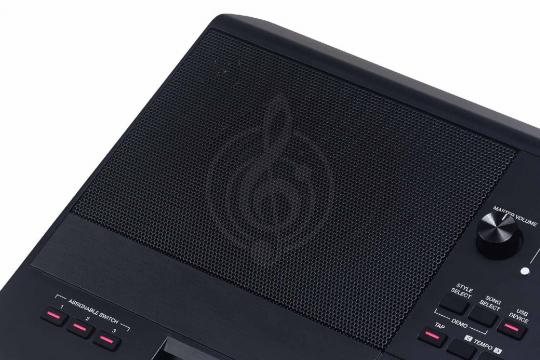 Синтезатор Medeli AKX10S - Синтезатор - фото 22