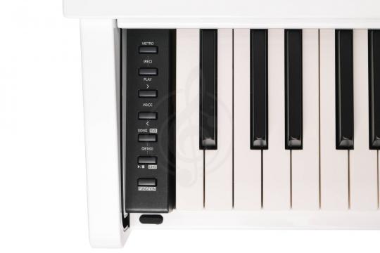Цифровое пианино Medeli DP260-PVC-WH - Цифровое пианино, белое, сатин - фото 4