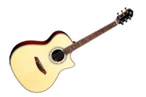 Изображение Mollo Guitar GAC-30 NA