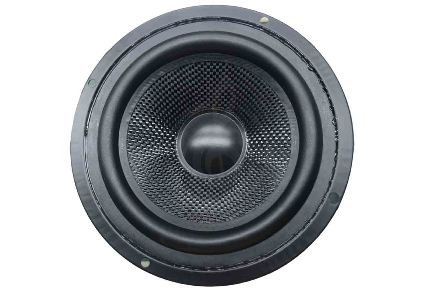 Динамик N-Audio 02DY2501 - Динамик для акустической системы C5, M5, X5, G5 - фото 3