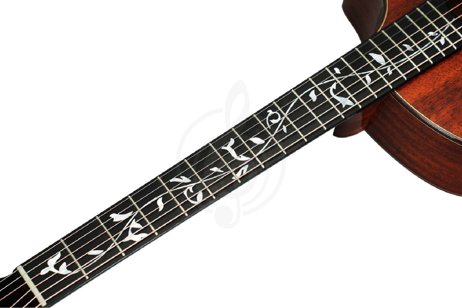 Акустическая гитара NATASHA Vitalis JC 41 Natural - Гитара акустическая - фото 13