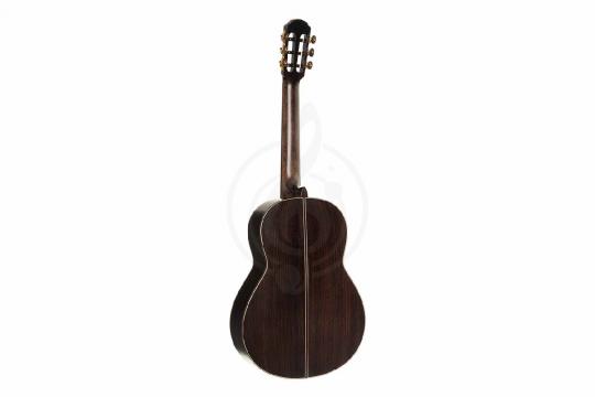 Классическая гитара 4/4 Parkwood CL400-NSG-wcase - Классическая гитара - фото 2