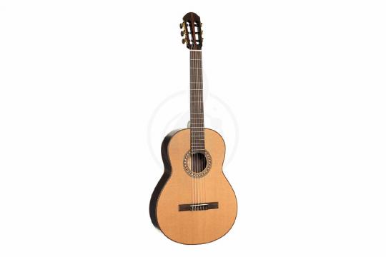 Классическая гитара 4/4 Parkwood CL400-NSG-wcase - Классическая гитара - фото 3