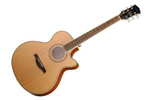 Изображение Parkwood P670-WCASE-NAT - Электроакустическая гитара