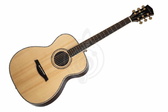 Акустическая гитара Parkwood P820ADK-WCASE-NAT - Акустическая гитара - фото 1