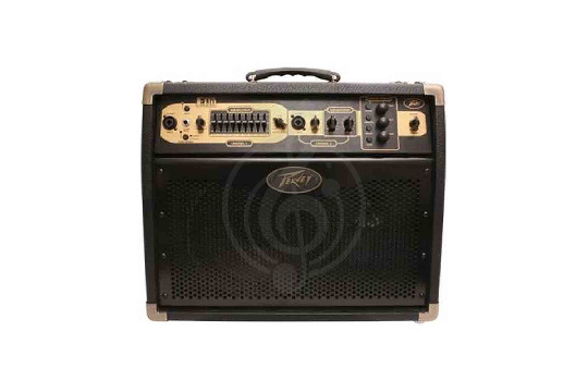 Комбоусилитель для акустической гитары Peavey Ecoustic E110 1x10' - Комбоусилитель для акустической гитары, 2 канала - фото 1