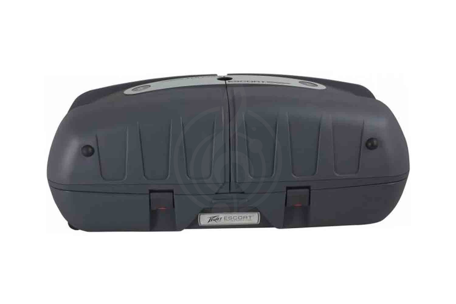 Мобильный звуковой комплект PEAVEY Escort 6000 - Мобильная акустическая система - фото 3