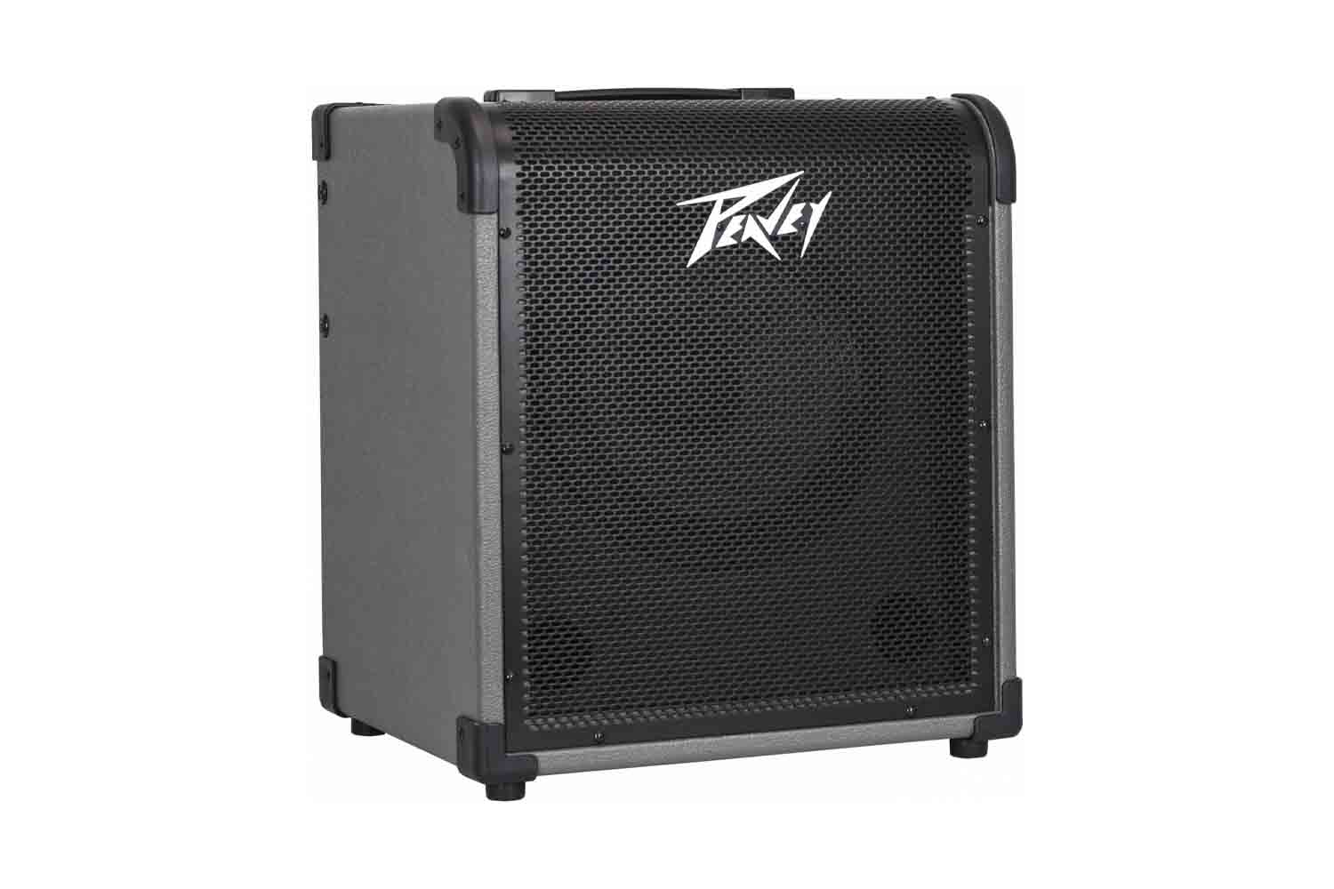 Комбоусилитель для бас-гитары PEAVEY MAX 100 - Басовый комбоусилитель с хроматическим тюнером, 100 Вт - фото 1