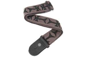 Изображение Planet Waves 50F03