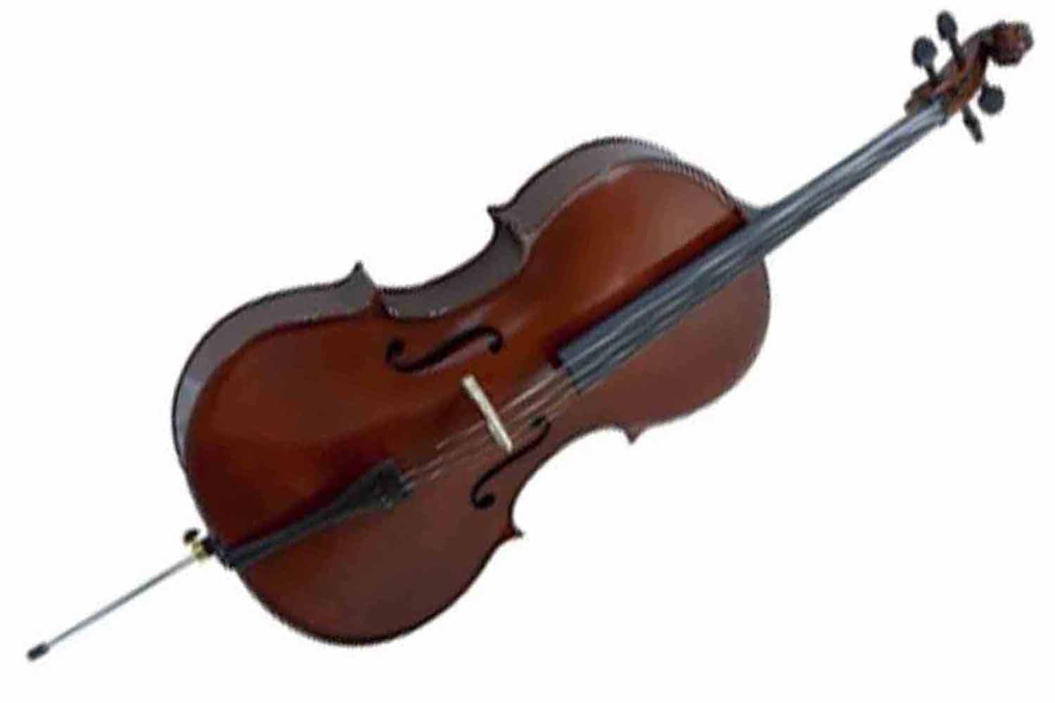 Виолончель 3/4 Prima P-200 3/4 Cello - Виолончель 3/4 - фото 1