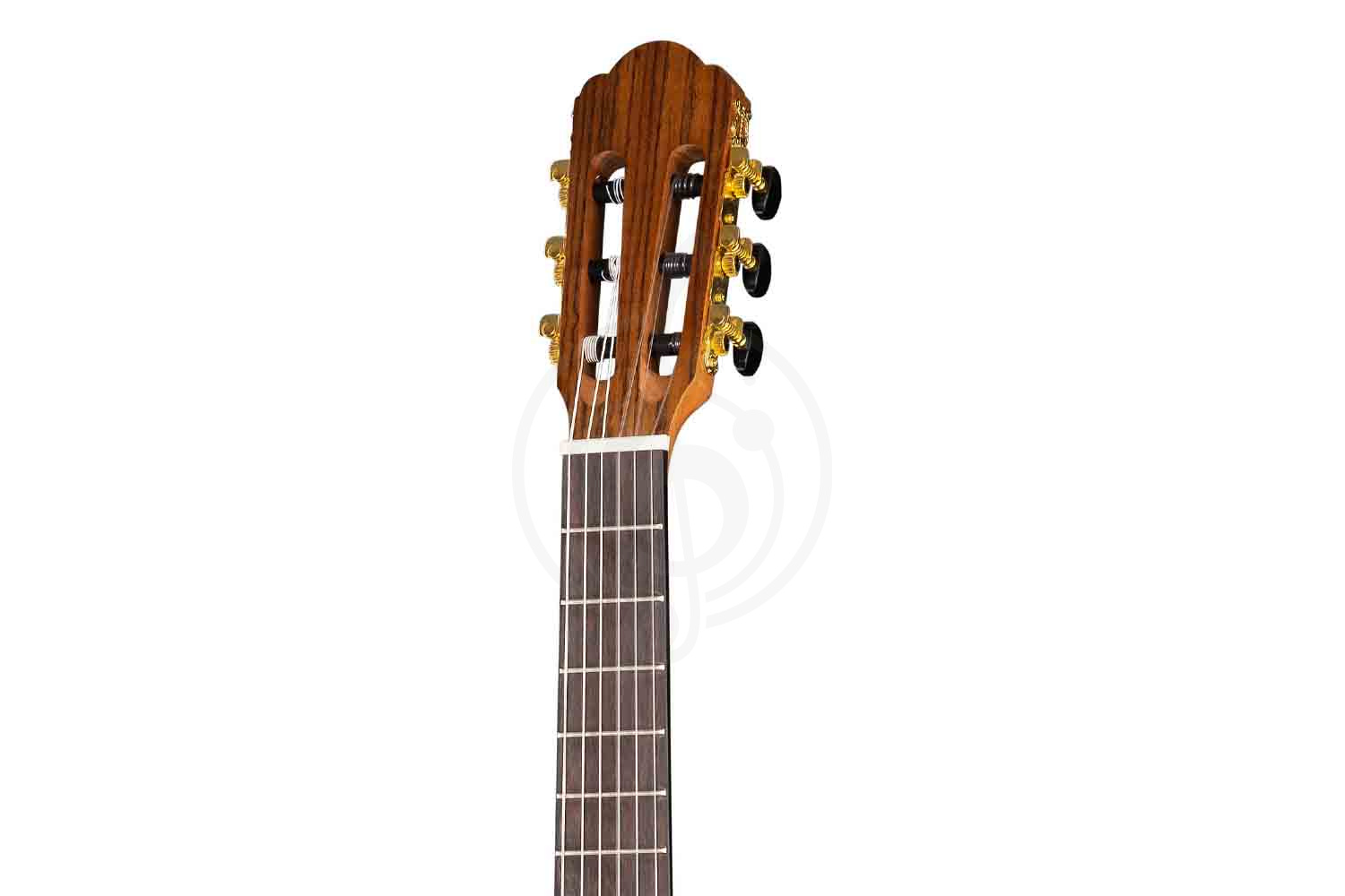 Классическая гитара 1/2 Prodipe JMFPRIMERA1/2 - Классическая гитара 1/2 - фото 6