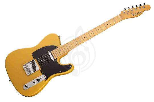 Изображение Электрогитара Telecaster Prodipe TC80MA