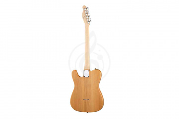 Электрогитара Telecaster Prodipe JMFTC90ALDERNAT - Электрогитара - фото 4