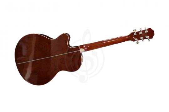 Акустическая гитара Ramis RA-C02C - Акустическая гитара - фото 3