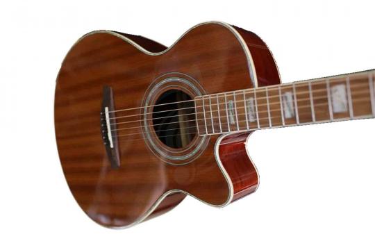 Акустическая гитара Ramis RA-C02C - Акустическая гитара - фото 6