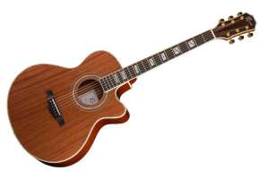 Изображение Акустическая гитара Ramis RA-C02C