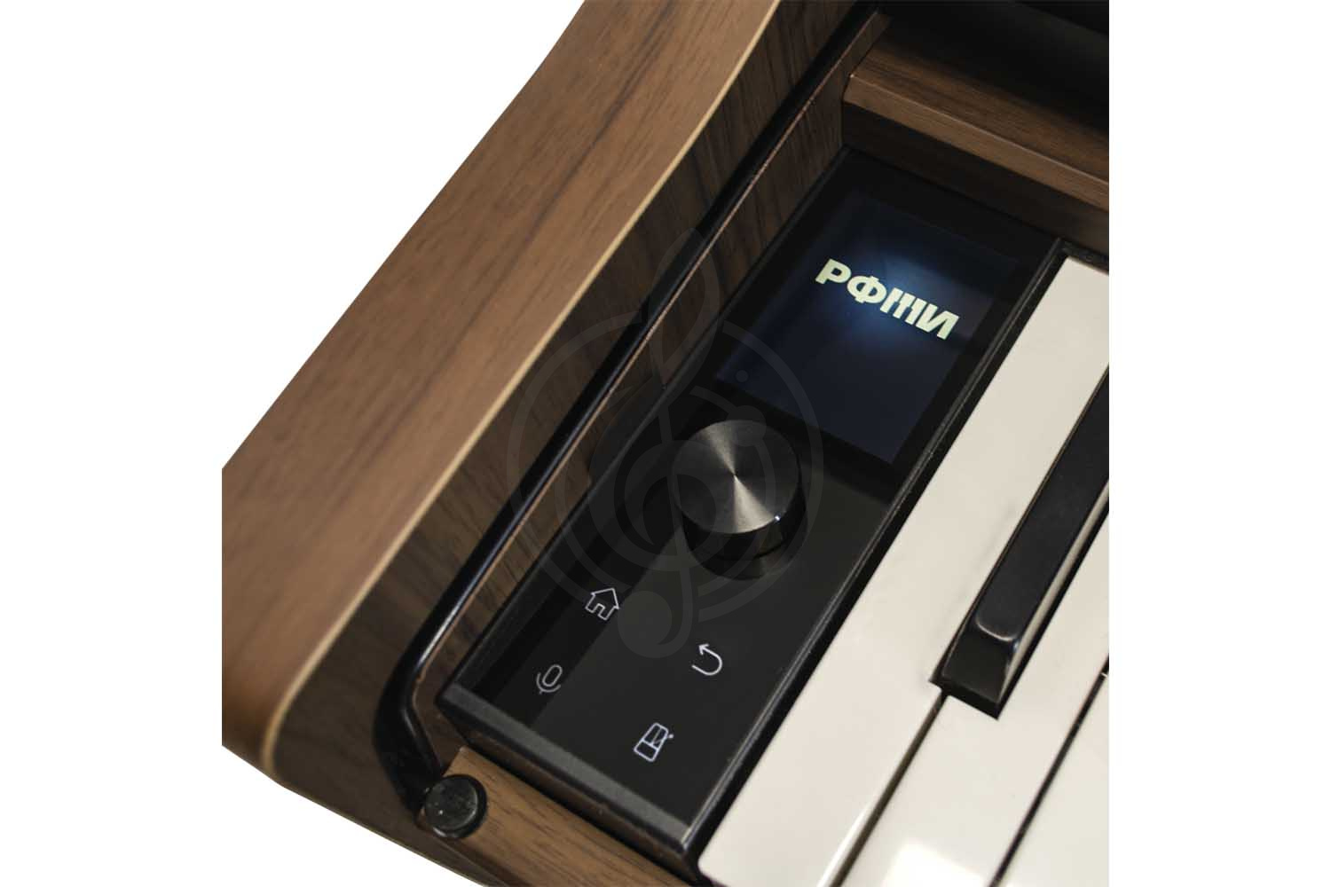 Цифровое пианино РФМИ DP500Walnut - Цифровое фортепиано с банкеткой, цвет коричневый - фото 3