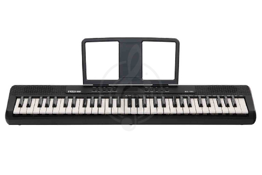 Rin RK-102 - Синтезатор - фото 1 Синтезатор Rin RK-102 - Синтезатор - фото 1
