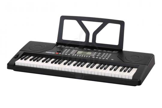 Rin RK-103 - Синтезатор - фото 7 Синтезатор Rin RK-103 - Синтезатор - фото 7
