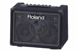 Изображение Клавишный комбоусилитель Roland KC-220