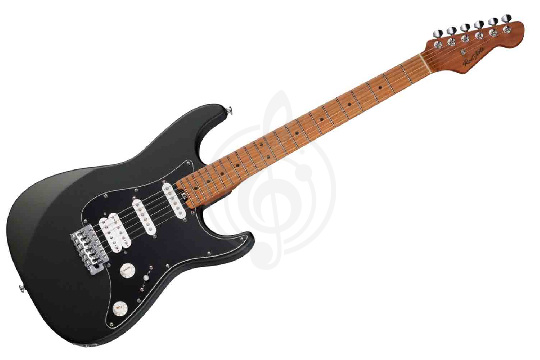 Электрогитара Stratocaster Root Note RS100-HSS-BK - Электрогитара - фото 1
