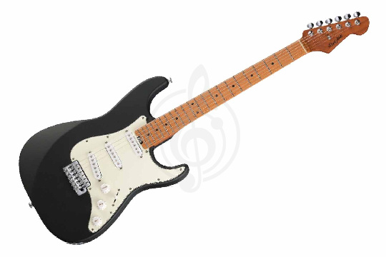 Электрогитара Stratocaster Root Note RS100-SSS-BK - Электрогитара - фото 1