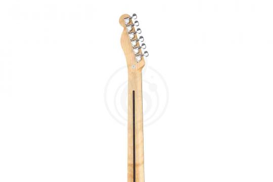 Root Note TE101-BLK - Электрогитара, черная - фото 2 Электрогитара Telecaster Root Note TE101-BLK - Электрогитара, черная - фото 2