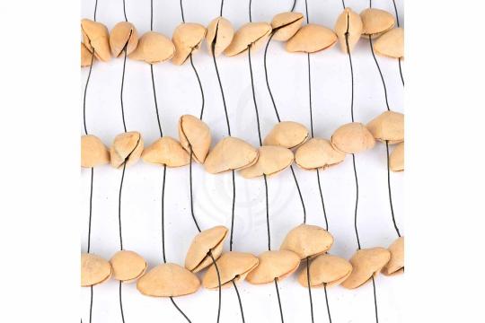 Шейкер Sela SESDC1 Seed Chime Kenari - Шейкер - фото 4