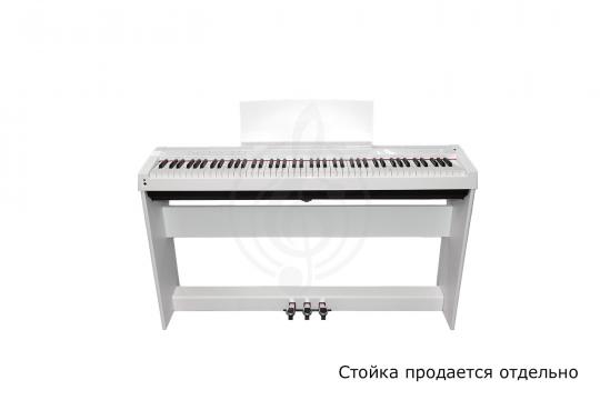 Solista DP125WH - Цифровое пианино - фото 8 Цифровое пианино Solista DP125WH - Цифровое пианино - фото 8
