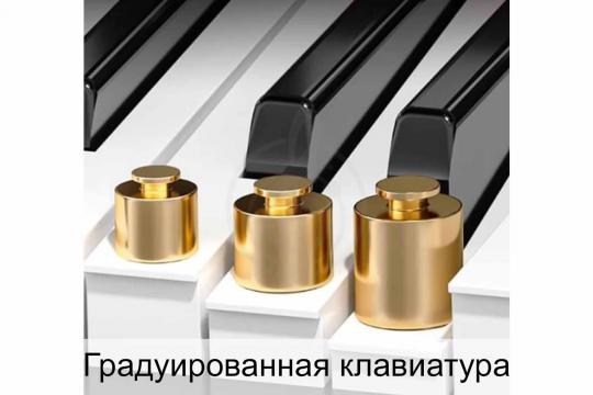Цифровое пианино Solista DP200BK - Цифровое пианино - фото 9