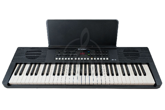 Синтезатор Solista SK-61 BK - Синтезатор - фото 1