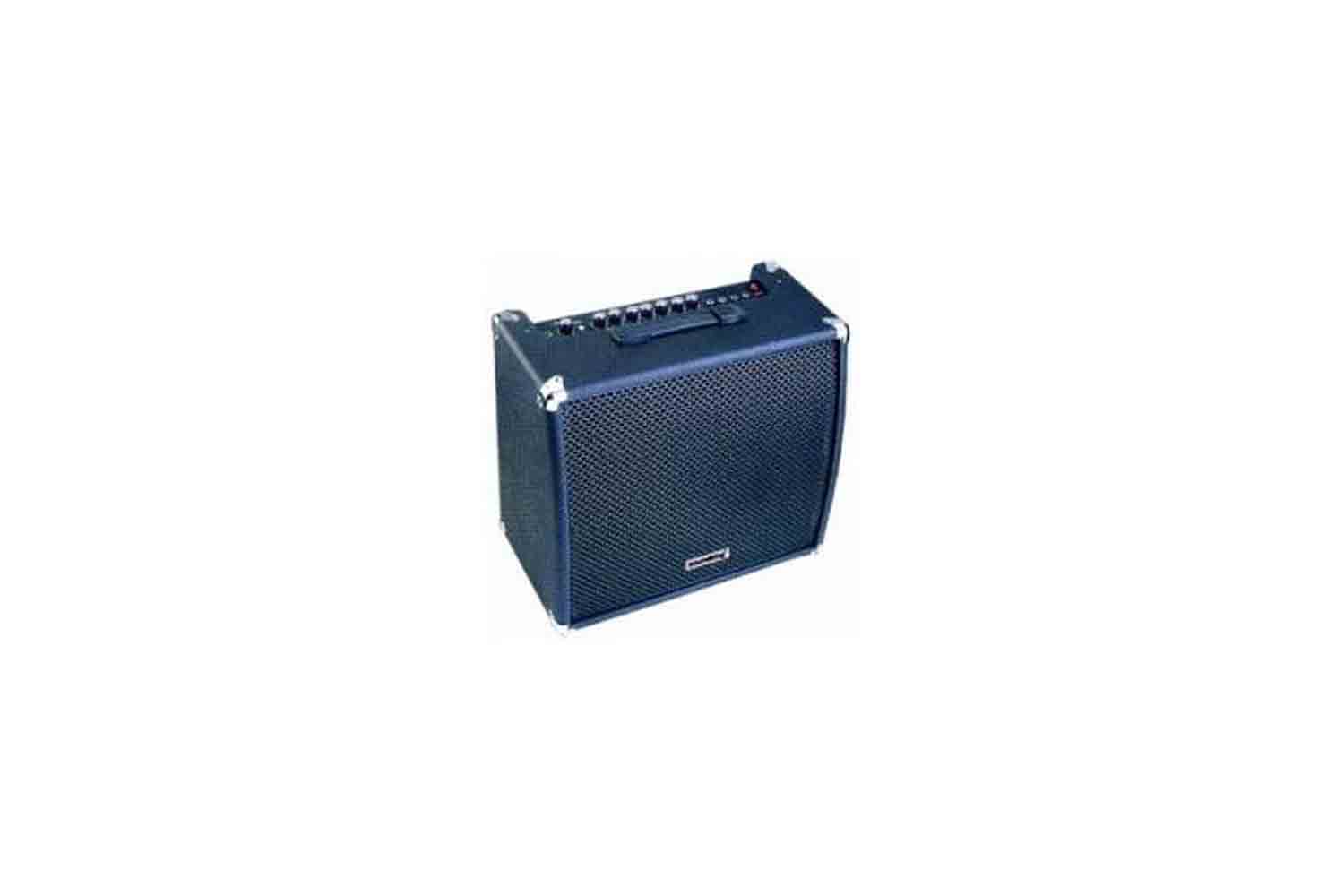 Комбоусилитель для бас-гитары SOUNDKING AK 50GB - бас. комбо, 50Вт, 3х-пол. экв - фото 1