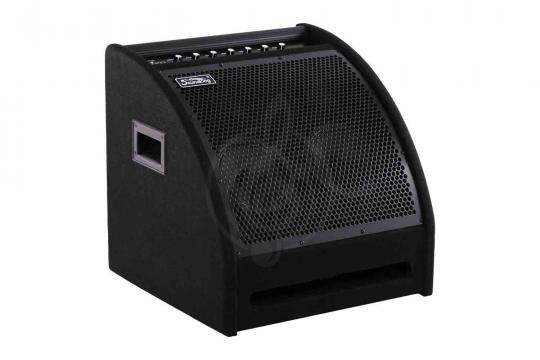 Комбоусилитель для ударных Soundking DS200 - Монитор для электронной ударной установки - фото 4