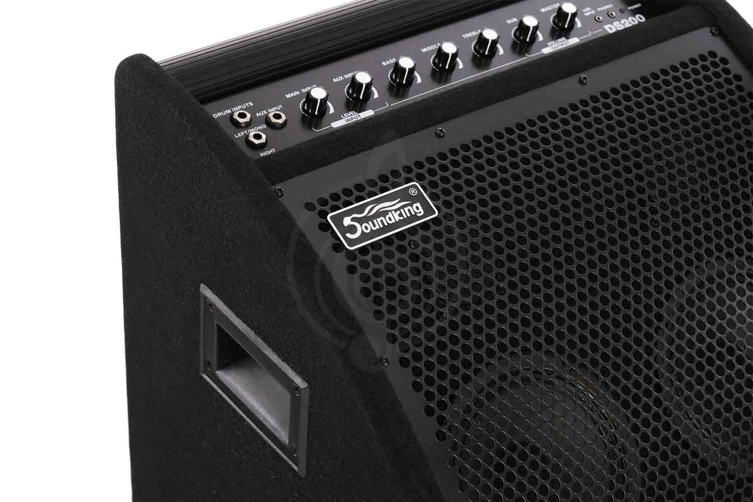Комбоусилитель для ударных Soundking DS200 - Монитор для электронной ударной установки - фото 3