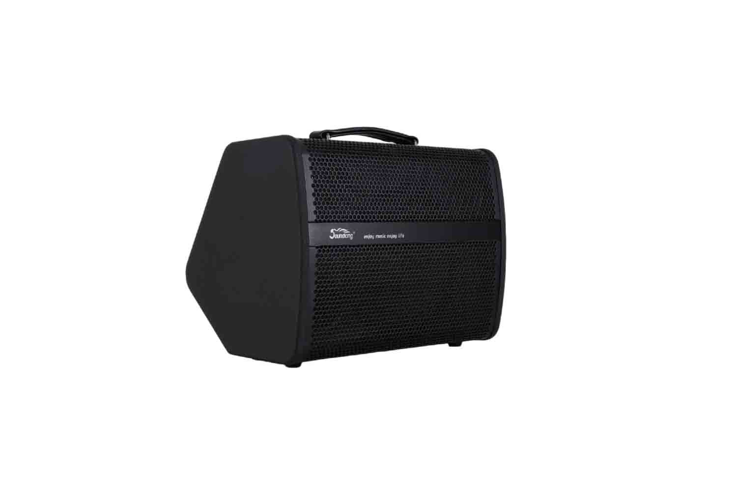 Комбоусилитель для электрогитары Soundking K240 - Комбоусилитель гитарный - фото 1