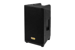 Изображение Soundking Y10P