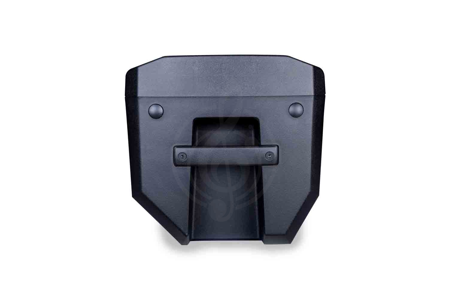 Активная акустическая система SoundSation Provibe-10A - Акустическая система активная - фото 2