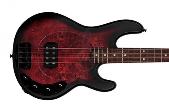 Бас-гитара STERLING StingRay HH Dark Scarlet Burst - Бас-гитара 4 струны - фото 7