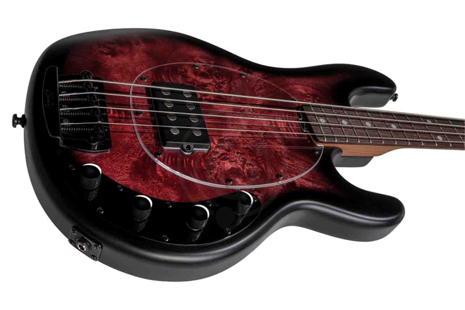 Бас-гитара STERLING StingRay HH Dark Scarlet Burst - Бас-гитара 4 струны - фото 5