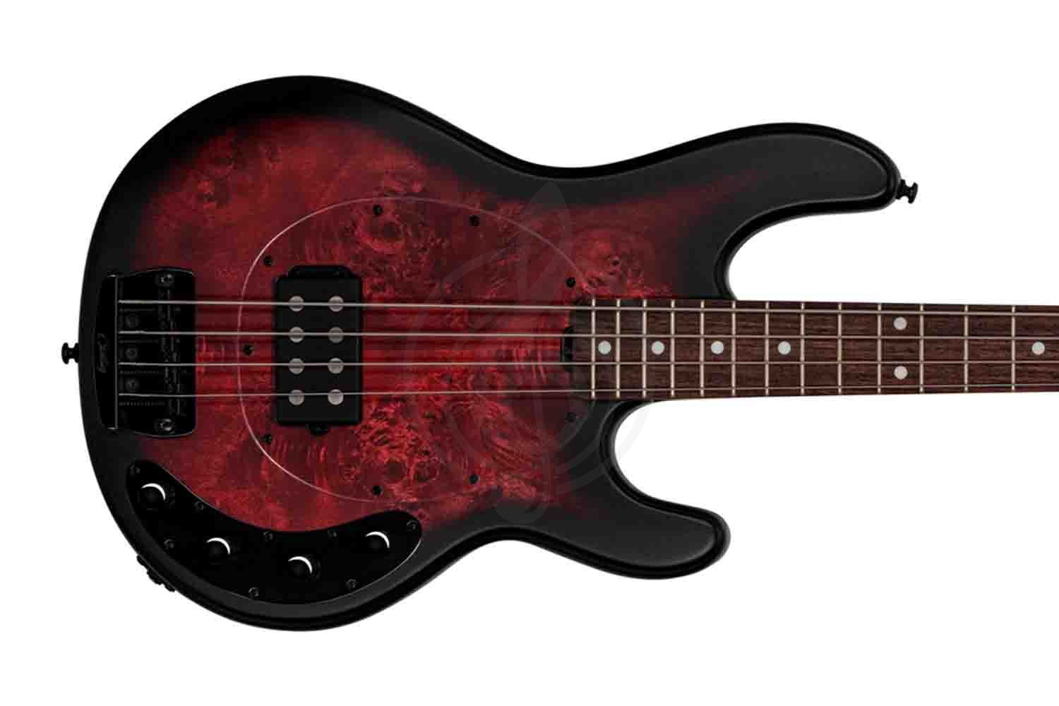 Бас-гитара STERLING StingRay HH Dark Scarlet Burst - Бас-гитара 4 струны - фото 7