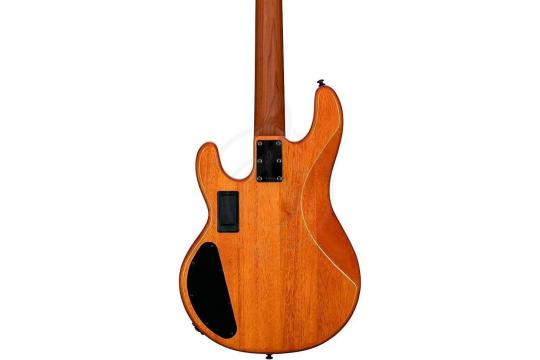 Бас-гитара STERLING StingRay HH Poplar Burl Top Amber - Бас-гитара 4 струны - фото 2