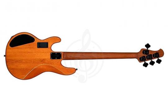 Бас-гитара STERLING StingRay HH Poplar Burl Top Amber - Бас-гитара 4 струны - фото 6