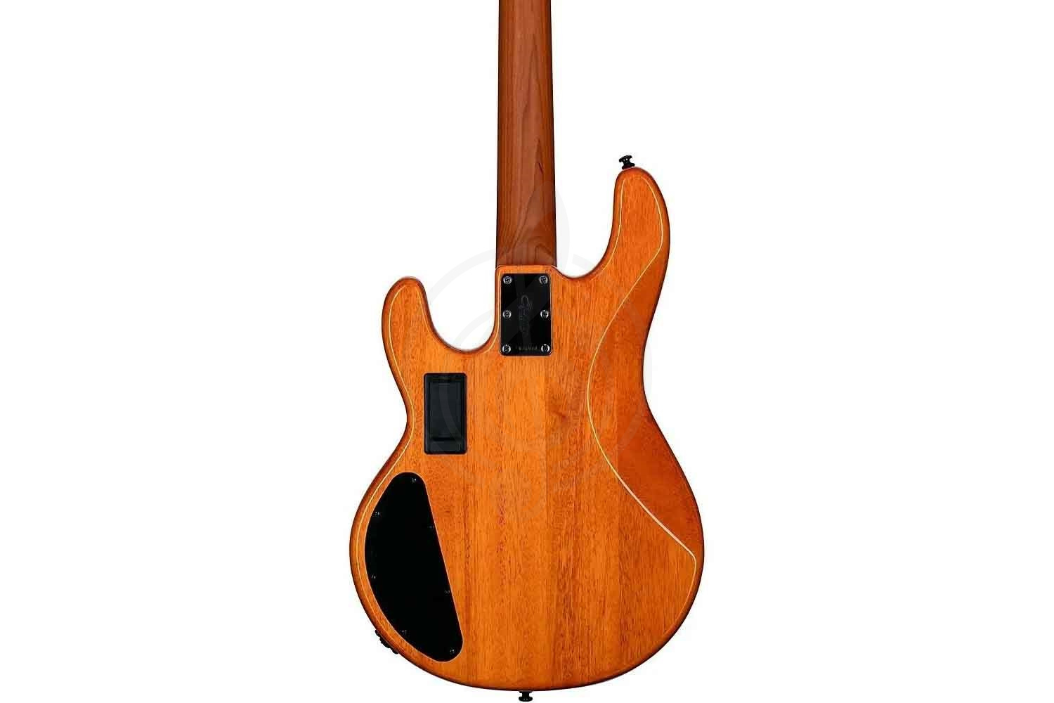 Бас-гитара STERLING StingRay HH Poplar Burl Top Amber - Бас-гитара 4 струны - фото 2