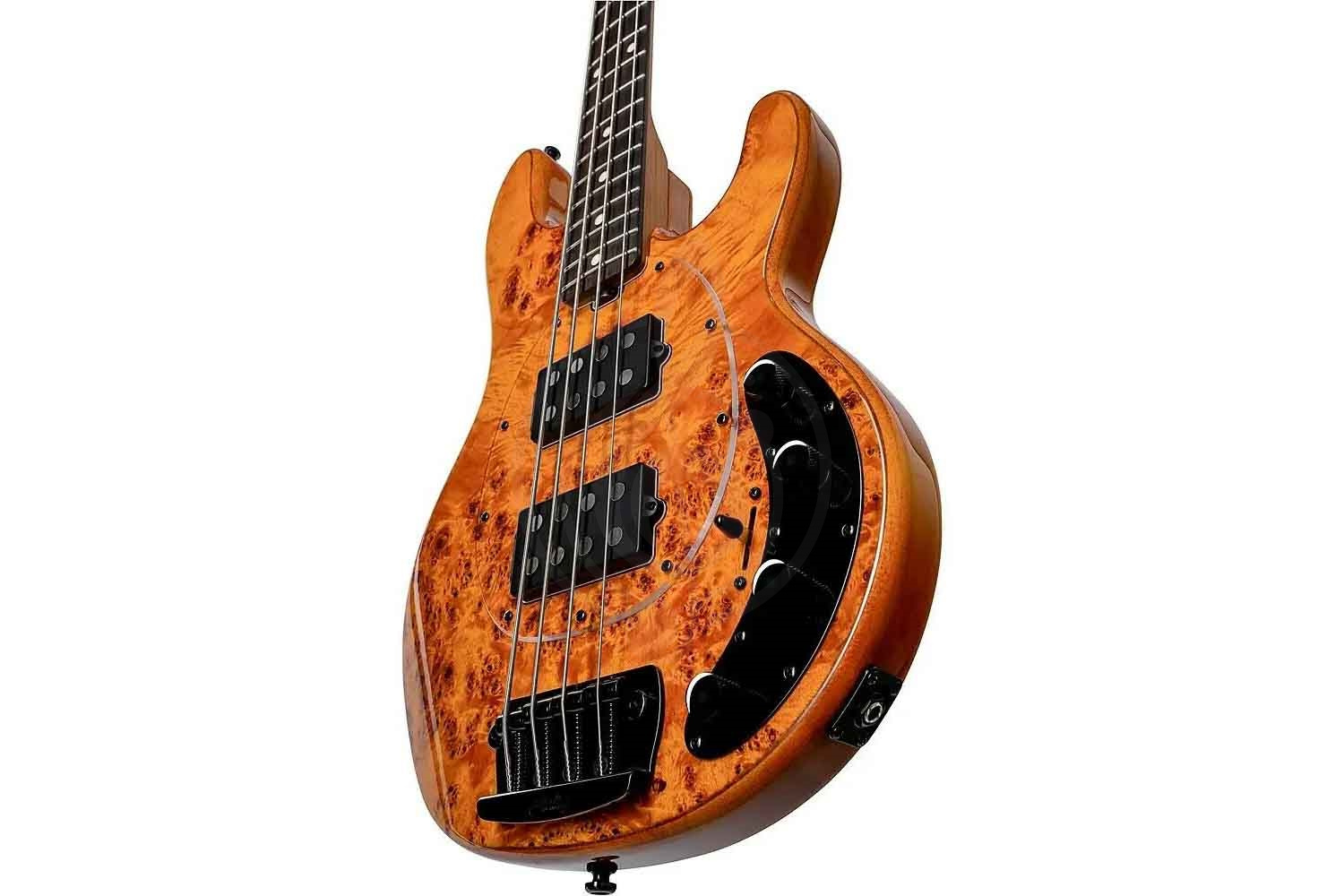 Бас-гитара STERLING StingRay HH Poplar Burl Top Amber - Бас-гитара 4 струны - фото 3