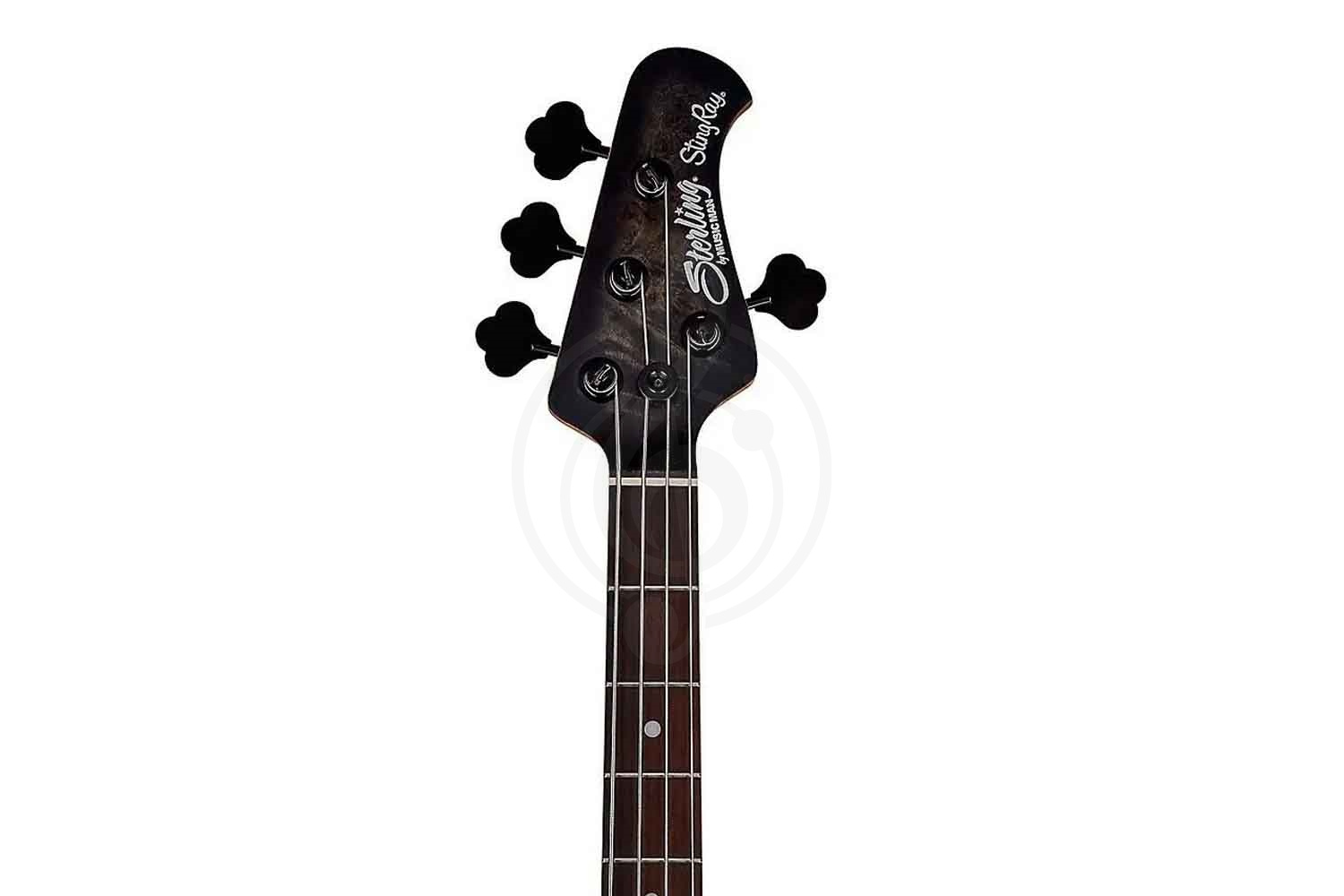 Бас-гитара STERLING StingRay Trans Black - Бас-гитара 4 струны - фото 2