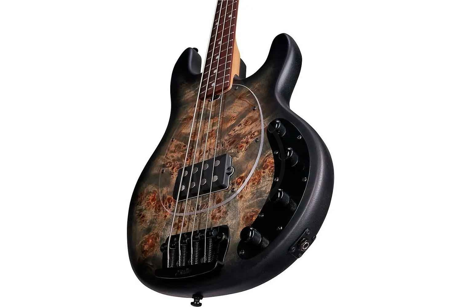 Бас-гитара STERLING StingRay Trans Black - Бас-гитара 4 струны - фото 5
