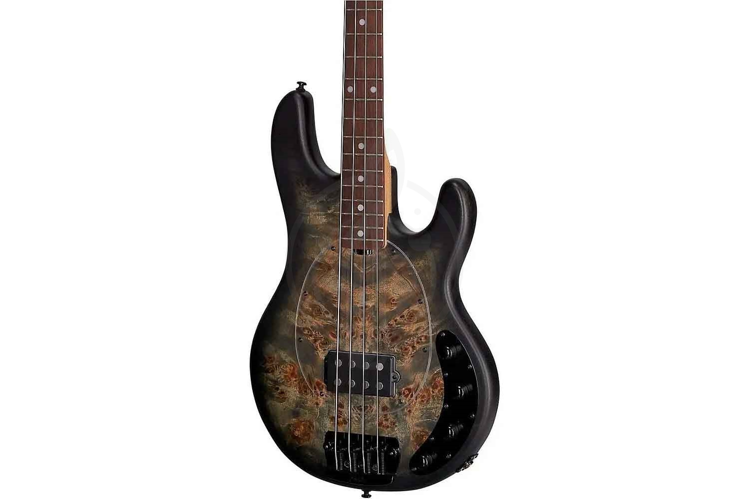 Бас-гитара STERLING StingRay Trans Black - Бас-гитара 4 струны - фото 6